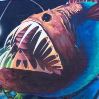 Gallery 3 - Angler Fish Mural