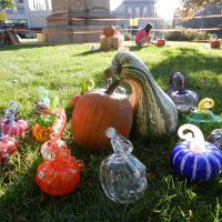 Gallery 4 - 8th Annual Great Glass Pumpkin Patch
