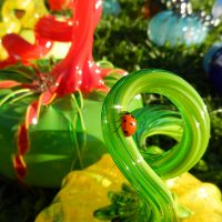 Gallery 5 - 8th Annual Great Glass Pumpkin Patch