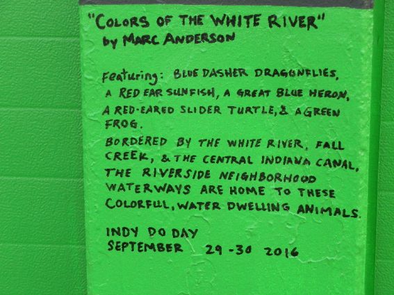 Gallery 4 - Colors of the White River