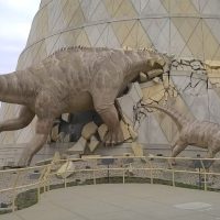 Gallery 1 - The Children's Museum Dinosaurs
