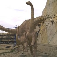 Gallery 2 - The Children's Museum Dinosaurs