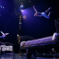 Gallery 2 - Cirque du Soleil | Corteo