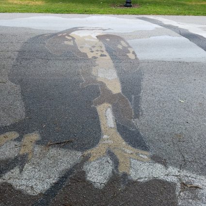 Gallery 3 - Red-Tailed Hawk Pavement Painting