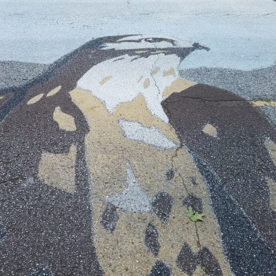 Red-Tailed Hawk Pavement Painting