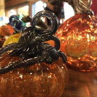 Gallery 3 - Bloomington Creative Glass Center Grand Opening and Glass Pumpkin Preview