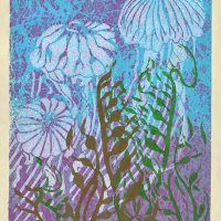 Gallery 1 - Surf & Reef: Prints by James Hubbard