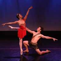 Gallery 4 - Ballet & Cabernet: Indianapolis Ballet Gala 2019