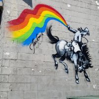 Gallery 1 - Rainbow Rodeo