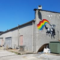 Gallery 2 - Rainbow Rodeo