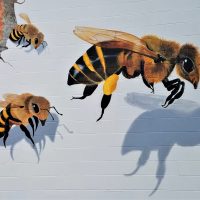 Gallery 3 - Bee Mindful:  They are Important