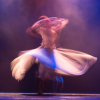 Gallery 1 - Open Call: 2022 Vilcek Prizes for Creative Promise in Dance