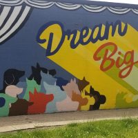 Gallery 7 - Downtown Doggie Murals