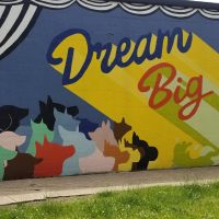 Gallery 8 - Downtown Doggie Murals
