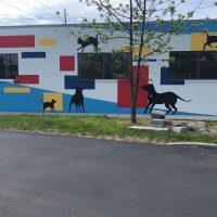 Gallery 3 - Indy Humane Mural