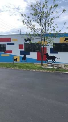 Gallery 3 - Indy Humane Mural
