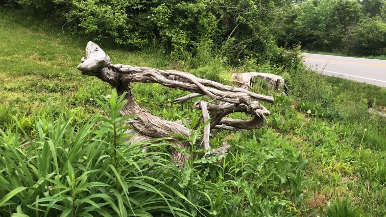 Gallery 1 - Driftwood Sculpture