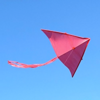 Saturday Sessions: Kite Workshop