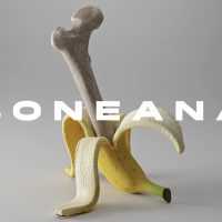 'Boneana' - A Comprehensive Retrospective