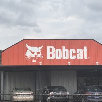 Gallery 1 - Bobcat