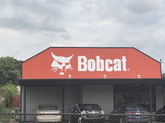 Gallery 1 - Bobcat