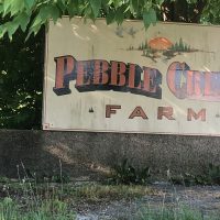 Gallery 1 - Pebble Creek Farm