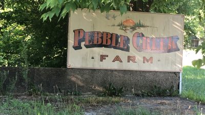 Pebble Creek Farm