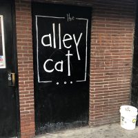 Gallery 1 - The Alley Cat