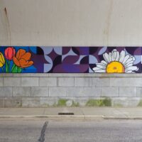 Gallery 16 - Crown Hill Tunnel Murals