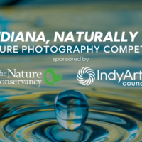 Indy Arts Council and The Nature Conservancy Indiana Seek Artists for Indiana, Naturally Photography Competition