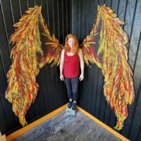 Gallery 1 - Phoenix Wings
