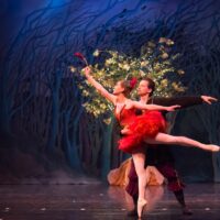 Enchanted Tales: Celebrating the Golden Age of Ballet